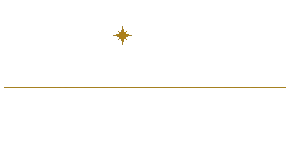 Sari Law Firm logo